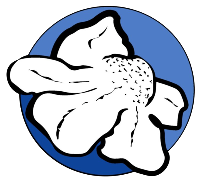 ReikiNa cover logo